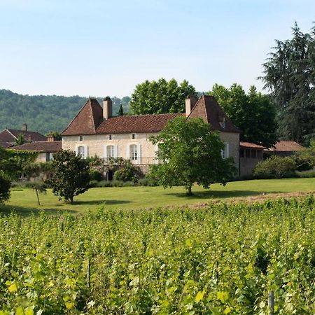 Chateau Gautoul Puy-l'Eveque Exterior foto